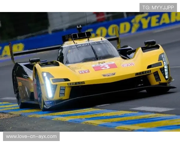 WEC耐力赛进入决赛周,厂队整体战斗力全面提升 WEC耐力赛进入决赛周,厂队整体战斗力全面提升